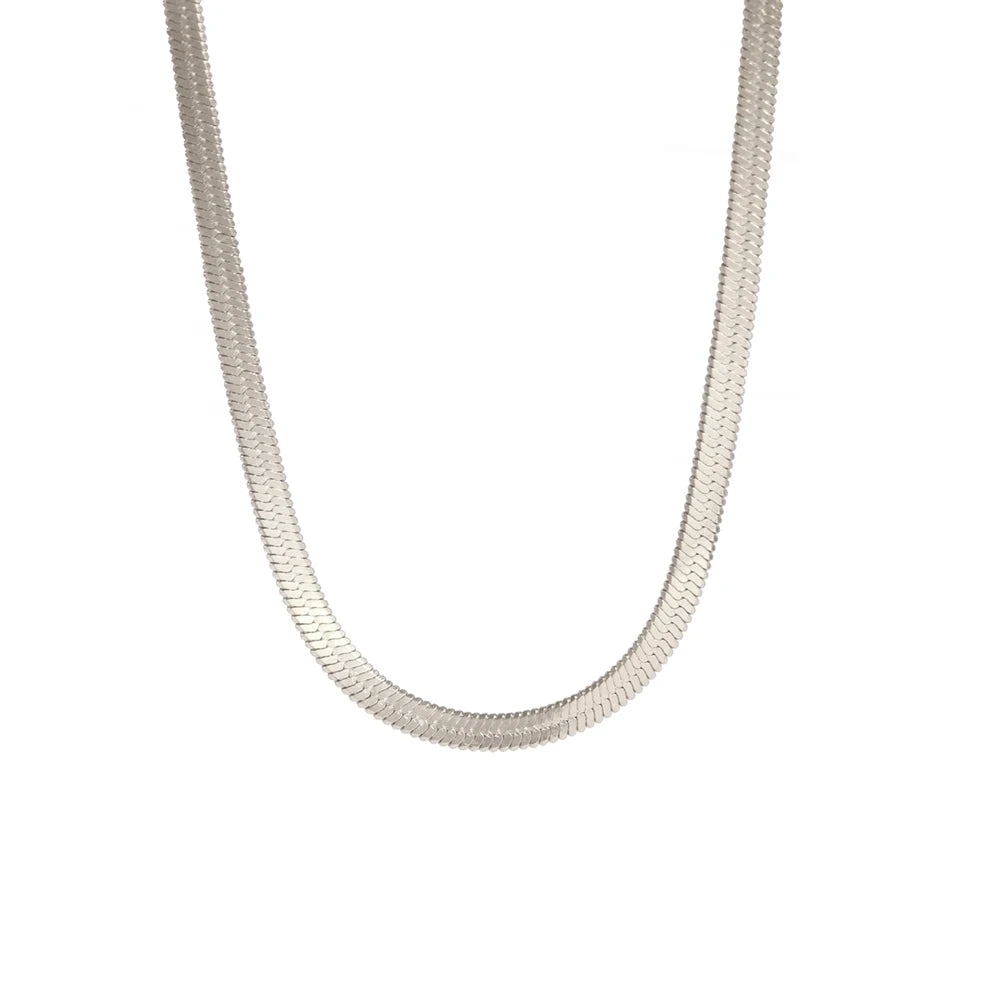 Colar Masculino com Corrente de Cobra, Aço Inoxidável
