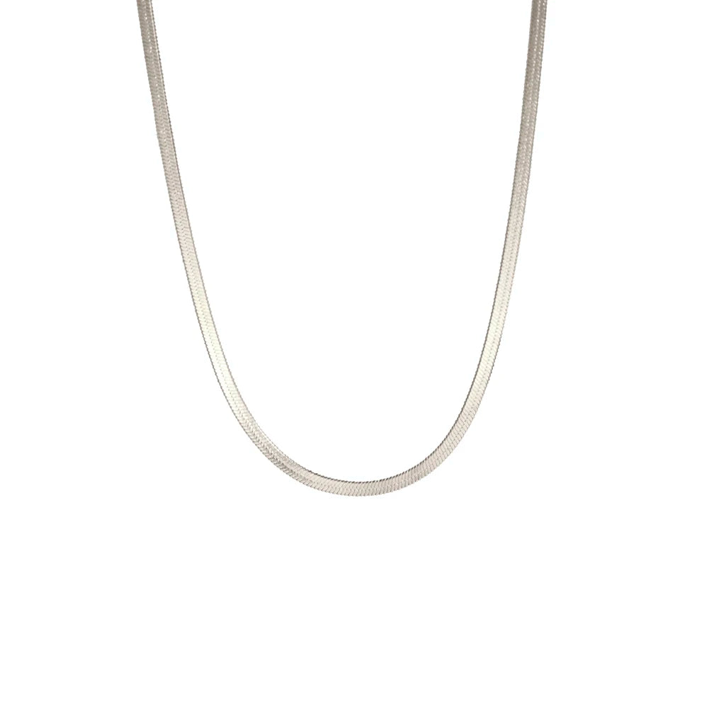 Colar Masculino com Corrente de Cobra, Aço Inoxidável