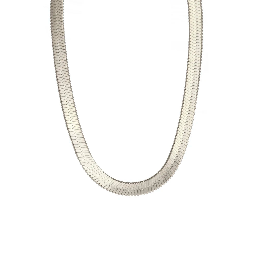 Colar Masculino com Corrente de Cobra, Aço Inoxidável